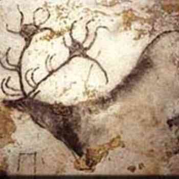 Click para ampliar. Pulsa en el nombre para ver la ficha. Ciervos